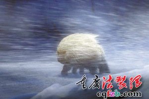 霍金的外星生物猜想